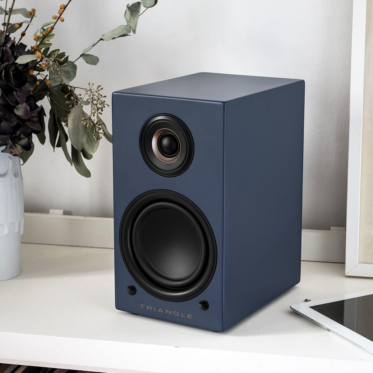 TRIANGLE HI-FI - Active Series - LN01A - Nove Boje Zvuka