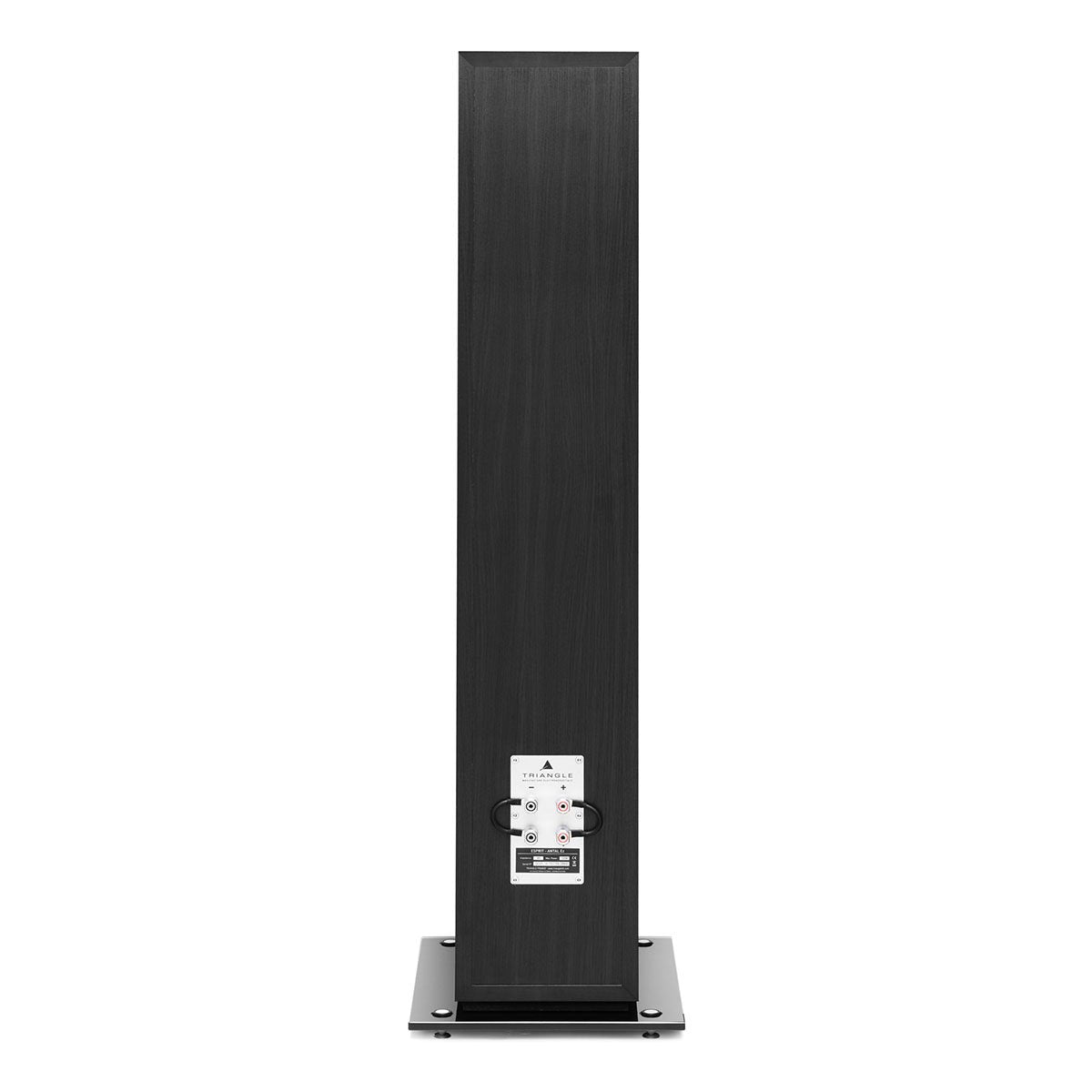TRIANGLE HI-FI - Esprit Ez - Antal Ez - Nove Boje Zvuka