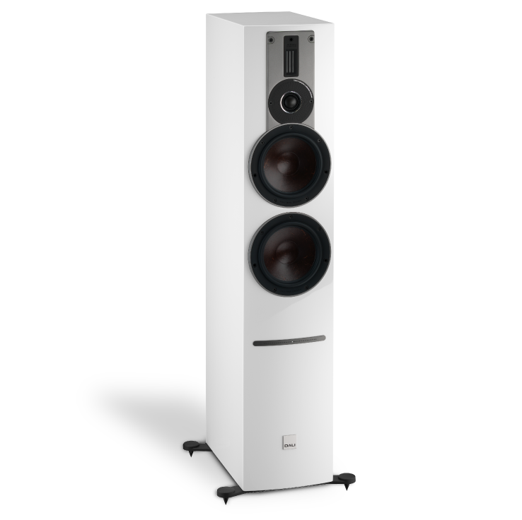 DALI RUBICON 6C - Nove Boje Zvuka