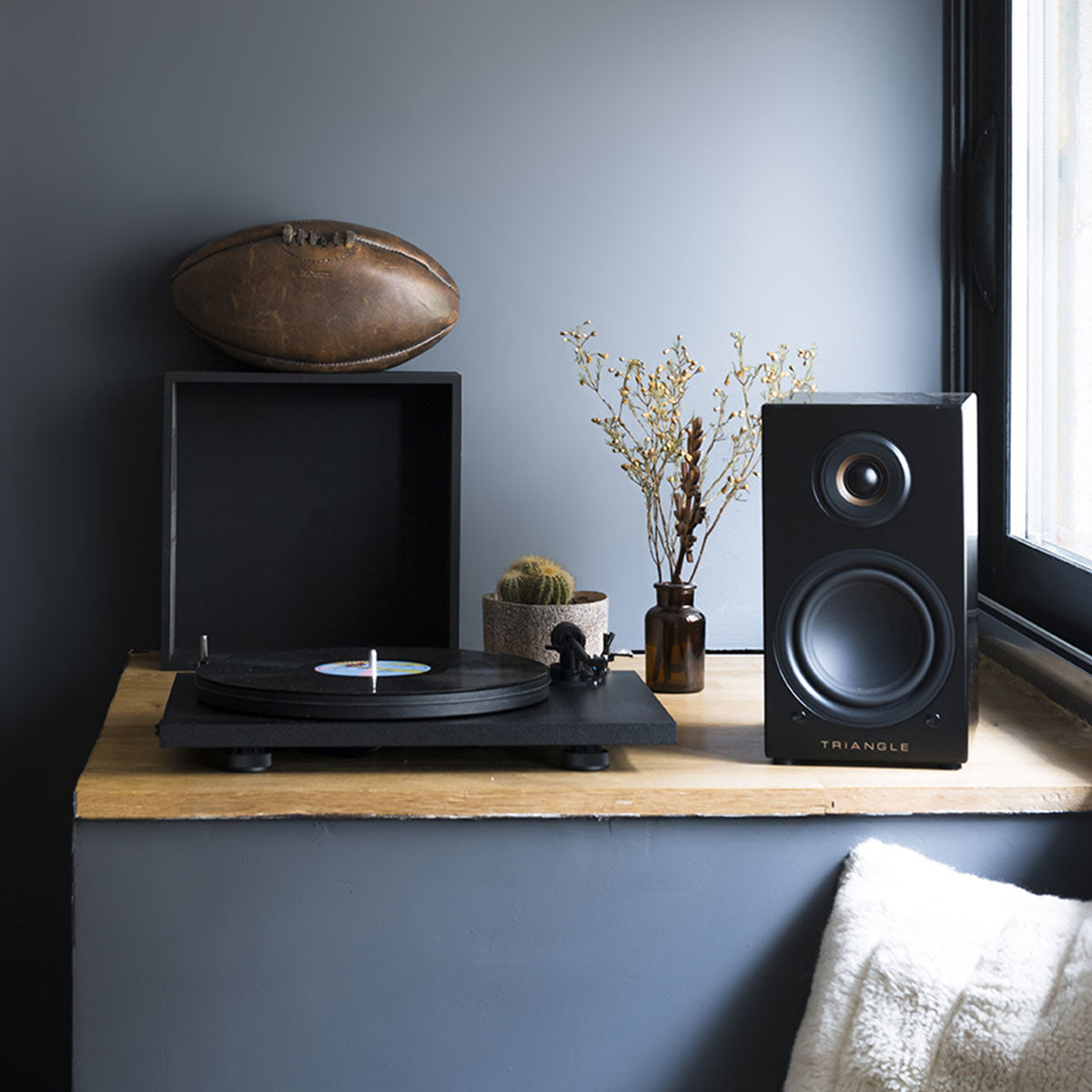 TRIANGLE HI-FI - Active Series - LN01A - Nove Boje Zvuka