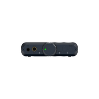 iFi Audio iDSD GR 2 (Preorder)
