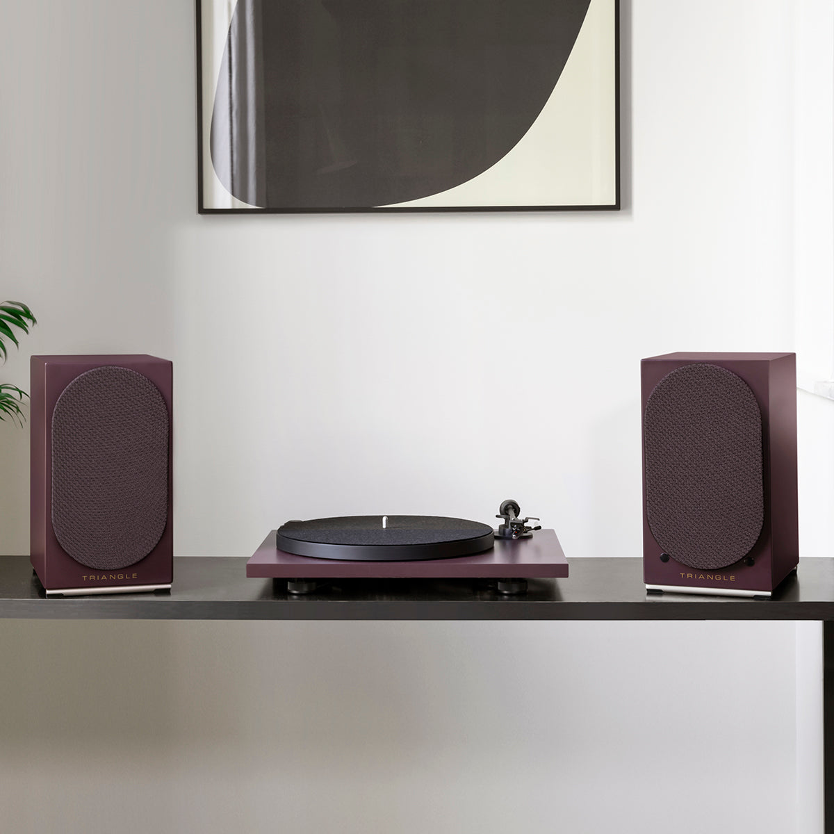 TRIANGLE HI-FI - AIO TWIN