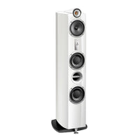 TRIANGLE HI-FI - Signature - Delta - Nove Boje Zvuka